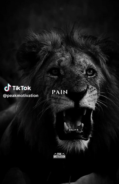 Enjoy The Pain #peakmotivation #motivation #motivationalquotes #hustlehard #powerfulquotes #quotelife #mindsetmatters #motivationalpage #hustle #mindset #grind #success #stoicism #quote #inspiration #powermind