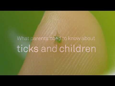 What Parents Need to Know about Ticks and Children