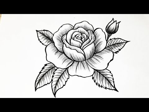 Beautiful Rose Drawing Easy Step by Step | Realistic Rose Flower Pencil Sketch Tutorial