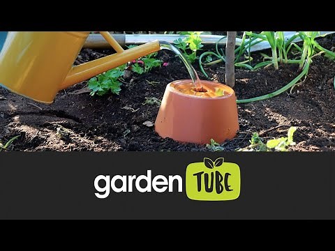 How to make and use an Olla watering vessel