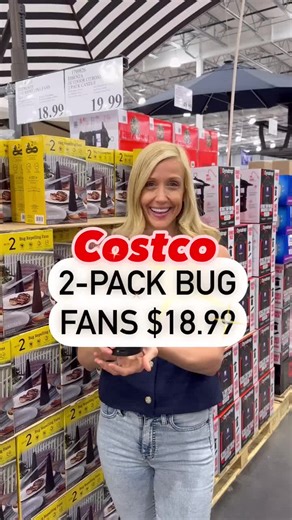 Big Fans at Costco for $19.99 – A Must-Have