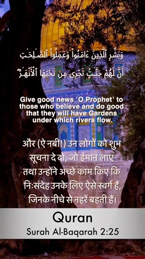 🇵🇸🇵🇸🇵🇸🇵🇸❤️❤️❤️❤️❤️ #FreePalestine #Palestine #india #dilli #panjab #kolata #hindi #explorer #status #indianmuslim #islam #indian #narendramodi #muslimworld #sunni #indianmuslimweddingdress #indianmuslims #delhi #follow #quran #allahuakbar #madina #mumbai | Hindi Quran