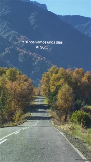 Conoces esta hermosa ruta? Región de la Araucanía... #otoño #araucania #carretera #fyp