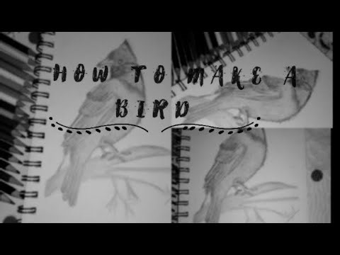How to draw sketch of a BIRD // EASY STEP BY STEP---