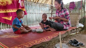 570K views · 13K reactions | Build a House For Firewood - Cooking Rice and Fertilize Upland Rice With 2 Children | Aliana Morgan | Facebook
