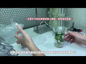 實驗室生活｜手把手教你組織培養！