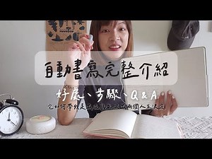 自動書寫完整介紹｜好處、步驟、Q&A｜它如何帶我走出混亂並做出兩個人生決定