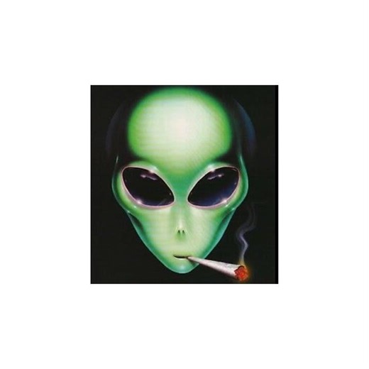 ALIEN PUNK ROCK MOSHPIT