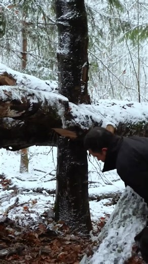 Bushcraft Shelter Building: Simple Outdoor Survival Shelter Guide