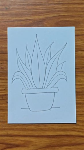 ll Easy plant drawing ll