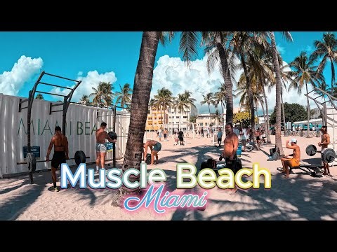 Muscle Beach Miami: Unbelievable! #gymlife #gym #viralvideo #miami