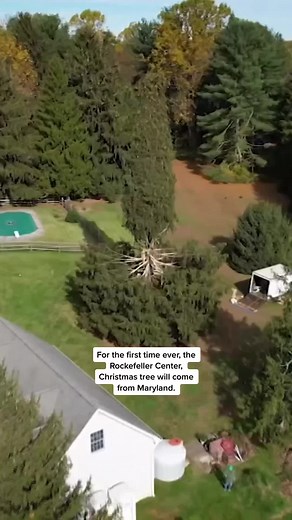 Rockefeller Center Christmas Tree Lighting Ceremony 2021