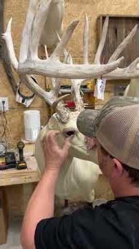 Mounting a Monster Whitetail #jakerousetaxidermy #taxidermy #hunting