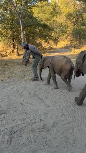 3.4M views · 133K reactions | A truly beautiful moment today—Joy...