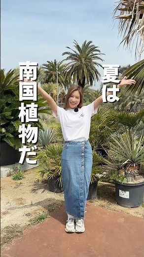 夏に向けて☀️🏝️南国植物仕入れませんか？ #ヤシの木 #南国植物 #観葉植物 #エクステリア #ガーデニング