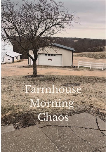 Morning Chaos in Our 113-Year-Old Farmhouse
