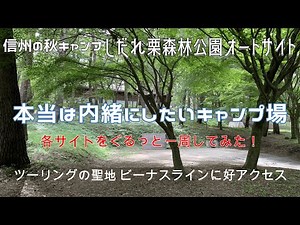 【おすすめキャンプ場】本当は内緒にしたい穴場キャンプ場 長野県の秋キャンプはココ！ しだれ栗森林公園オートキャンプサイト, ビーナスラインツーリングにも好アクセス