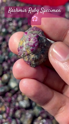 #kashmir #ruby #specimens #rare #red