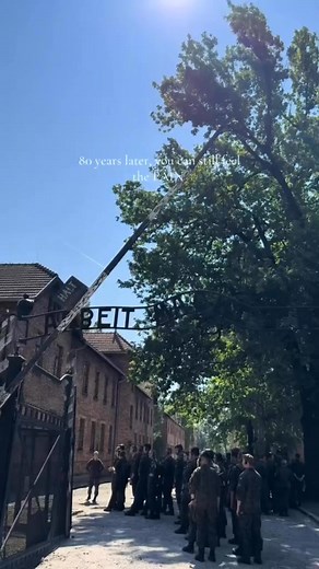 2.8M views · 65K reactions | 80 years later "Auschwitz" #abandoned #abandonedplaces #discoverearth #forgotten #lost #explore #forgottenplaces #creepy #abandonedearth #urbex #lostplaces | Abandoned Places | Facebook
