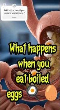 This Is What a Boiled Egg Does Inside Your Body | Shocking 3D Anatomy #eggs #eggmonth #eggshell