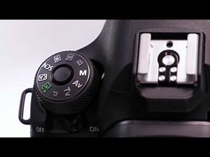 Canon EOS 6D Mark II: Auto ISO