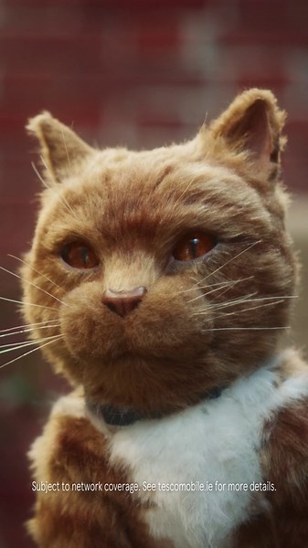 Tesco Mobile: Reliable Coverage with Great Value