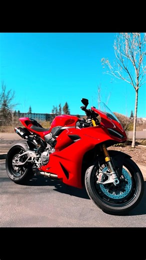 2025 Ducati Panigale V2S with Termignoni Exhaust Mirror Block Offs #ducatipanigale