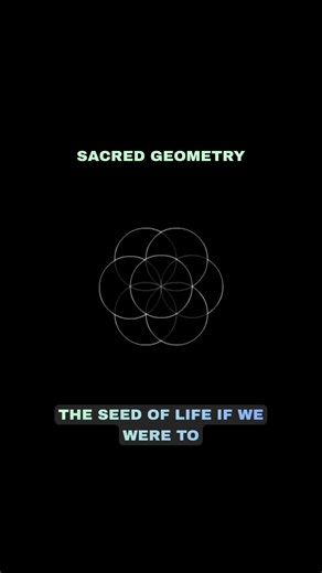 From the Seed of Life to the Flower, Fruit, and finally Metatron’s Cube, this ancient geometry reveals a hidden structure behind reality itself. Watch how form, balance, and perception emerge step by step. #SacredGeometry #FlowerOfLife #MetatronsCube #AncientKnowledge #HiddenReality | Proper Gander