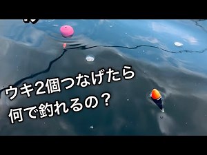 A clear explanation of why the two-stage float rig is the best ♪