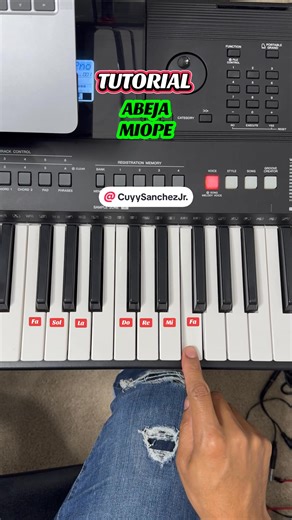 Tutorial-abeja miope #tutorial #abejamiope | Cuyy Sánchez jr