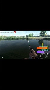 Unique White Amur #16