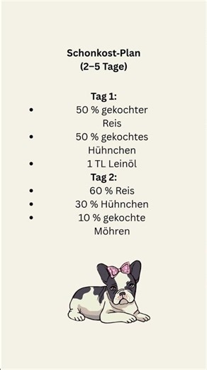 Schonkost für Hunde – Rezept, Plan & Anwendung bei Durchfall und Magenproblemen#schonkosthund