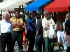 Alpine horn Switzerland