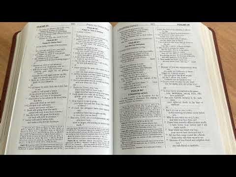 Bible reading (book of Job chapter 8-15) 09/16/25 #jesus #christian #bible #bibleverse #god #church