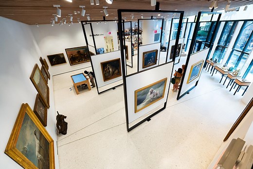 The 15 Best Museums in New York City