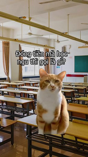 Tui đố á 😌 #mindlab #thehegen #memelab #memevideo #trendingvideo #meme #trending #capcut_edit