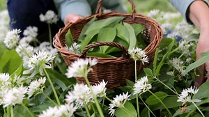 2.1K views · 51 reactions | Here’s my “Top 5 Spring Greens for...