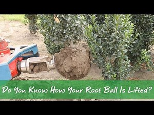 Do You Know How Your Root Ball Is Lifted?