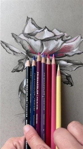 Understanding color in drawing - use a color value range #howtodraw #coloredpencilart