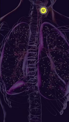 Tidak Ada Gejala, Tapi Bisa Terinfeksi HPV Fakta yang Jarang Diketahui!
