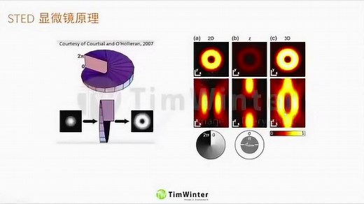STED超分辨显微镜的应用和样品制备-1