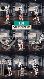 40K views · 433 reactions | Leg exercise library 例☝ | EFitnessHelp | Facebook
