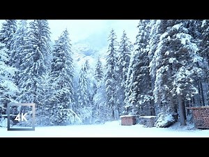 Relaxing Winter Snowfall Walk in Switzerland , Weisse Lutschine River to Stechelberg, Switzerland