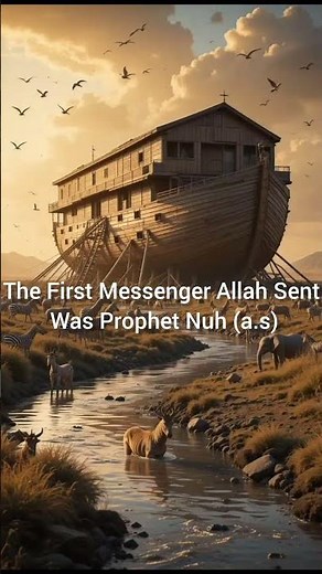 "Essential Islamic facts every Muslim should know. ✨"​"How many of these did you already know? 🤔