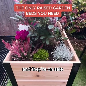3.2M views · 10K reactions | Success starts with the foundation: a Cedar Planter that's designed with YOU in mind!  Built to Last  Eco-Friendly: Chemical-Free & Sustainable  Quick Assembly 凌 Grow Healthier, Happier Plants ✅ Sizes for Every Space  Free Shipping on All Orders Elevate your plants and your gardening experience. Shop Now! | Cedar Planters | Facebook
