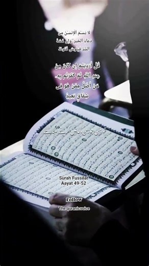 “Qur’an insaan ki kamzori bhi batata hai…aur gumraahi ka anjaam bhi ⚠️”