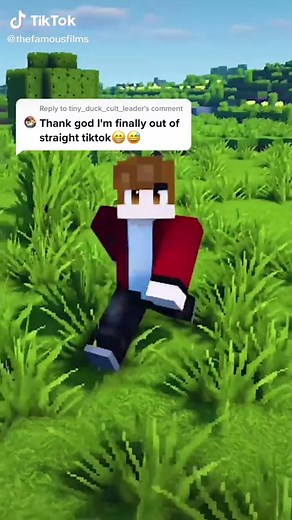 Gay Minecraft Tiktok - LGBTQIA Content Creator Shares Fun Gameplay