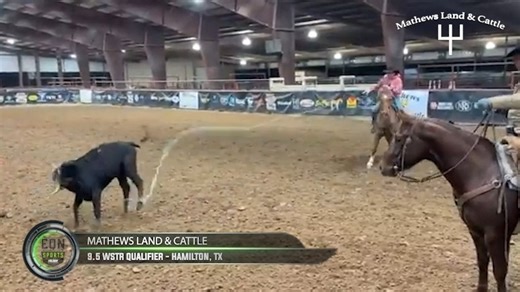 The final roping of Day 2 at the Mathews Land and Cattle Ariat World Series of Team Roping in Hamilton, Texas, was the 9.5 WSTR Qualifier. 229 teams braved a little chill in the air to rope for a $16,580 first place payday. Check out who punched their tickets to rope at the South Point Arena in December! | EQN Sports