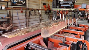 14K views · 520 reactions | Take a look at this Cedar! Maybe the best I have seen. | Out of the Woods Forestry | Facebook