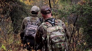 Hunting Moose in British Columbia